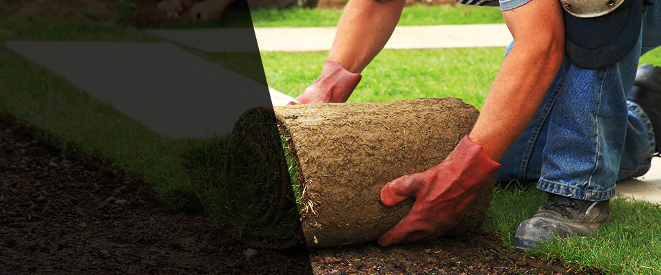 Chauvin Landscapers